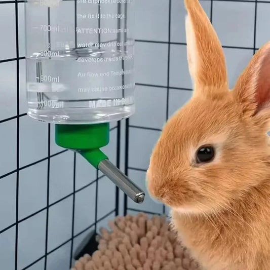 Large Capacity Hanging Water Dispenser For Small Pets And Rabbits