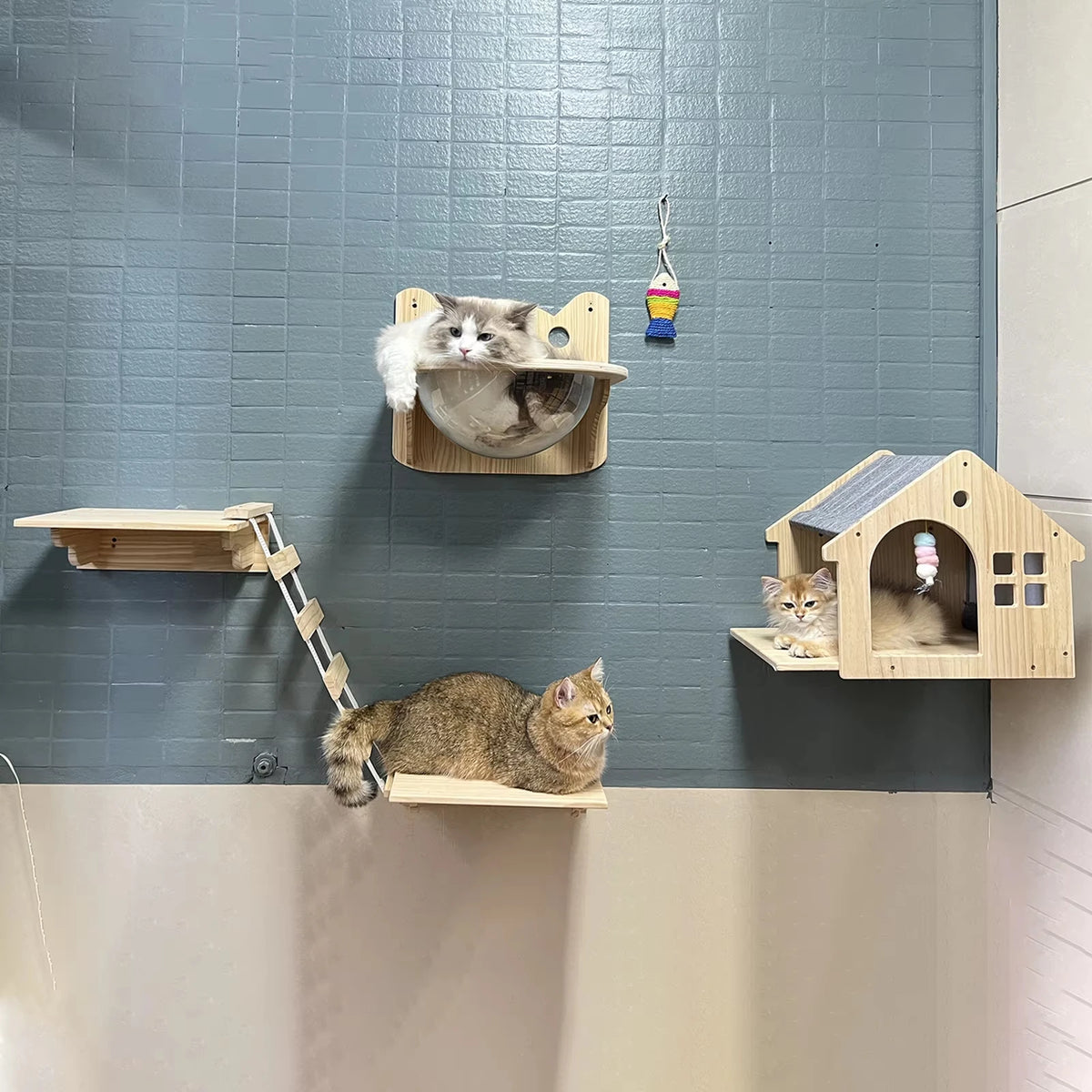CWV Wooden Wall Mounted Cat Villa With Sleeping Platform