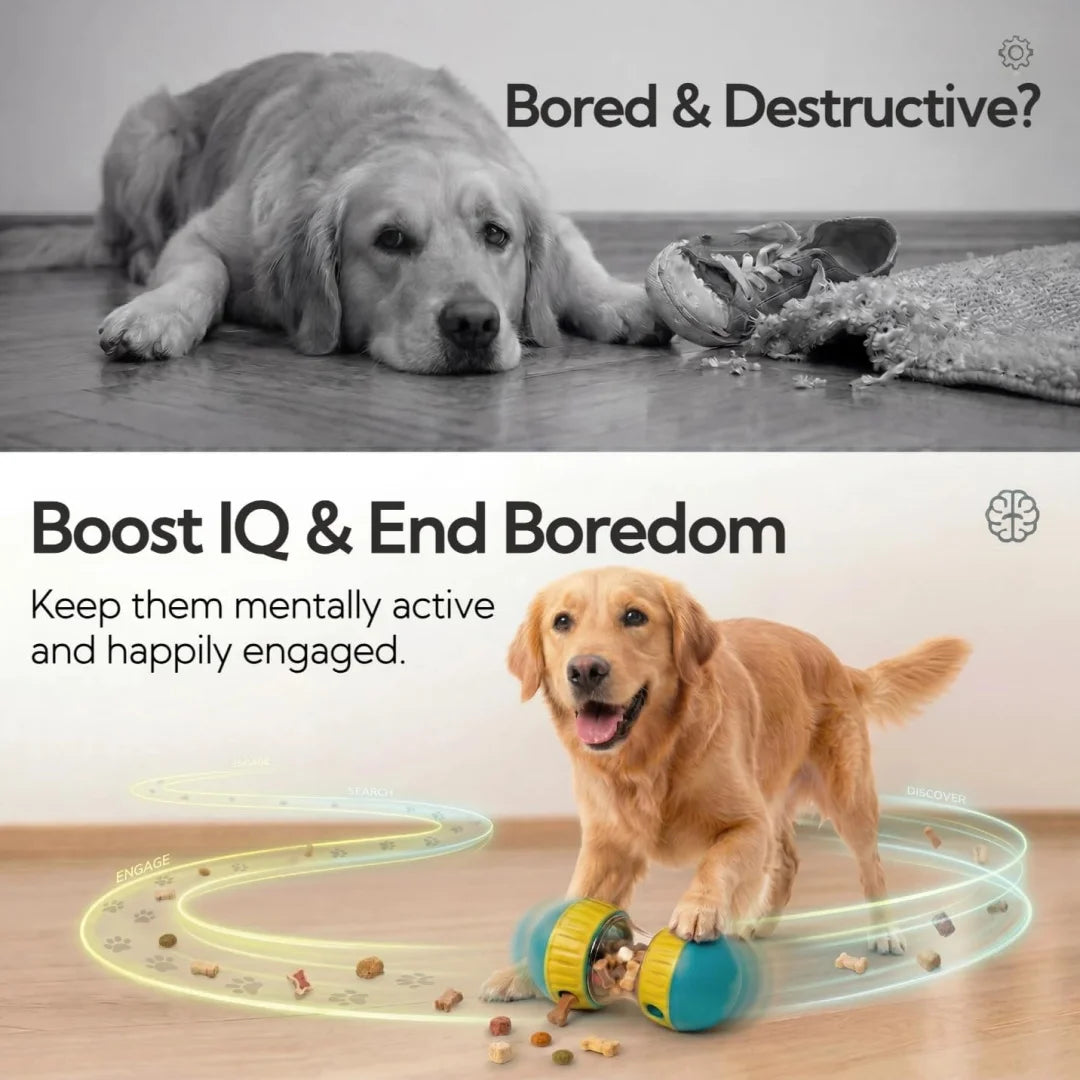 Interactive Dog Slow Feeder Puzzle Treat Dispensing Ball