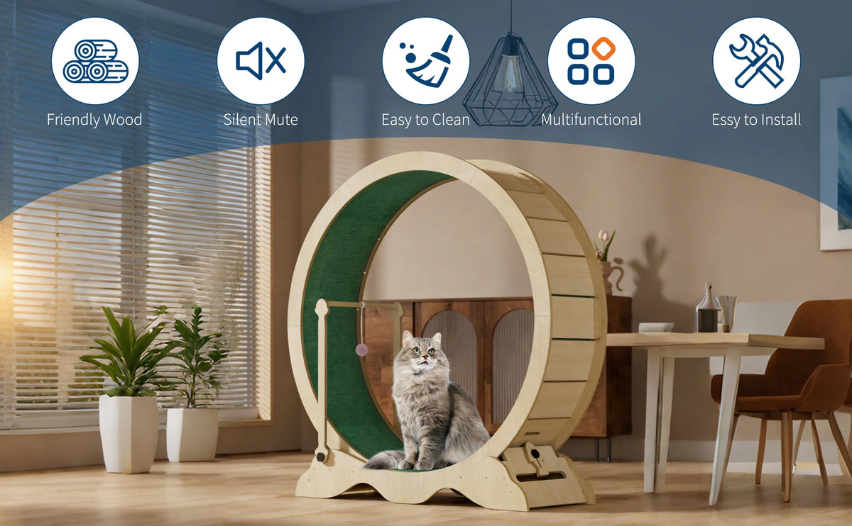 Quiet Wood Cat Exercise Wheel Sturdy Detachable Carpet Floor