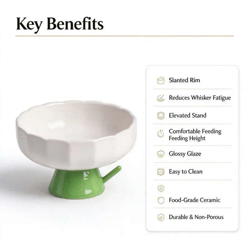 Elevated Ceramic Cat Bowl With Slanted Rim For Indoor Cats