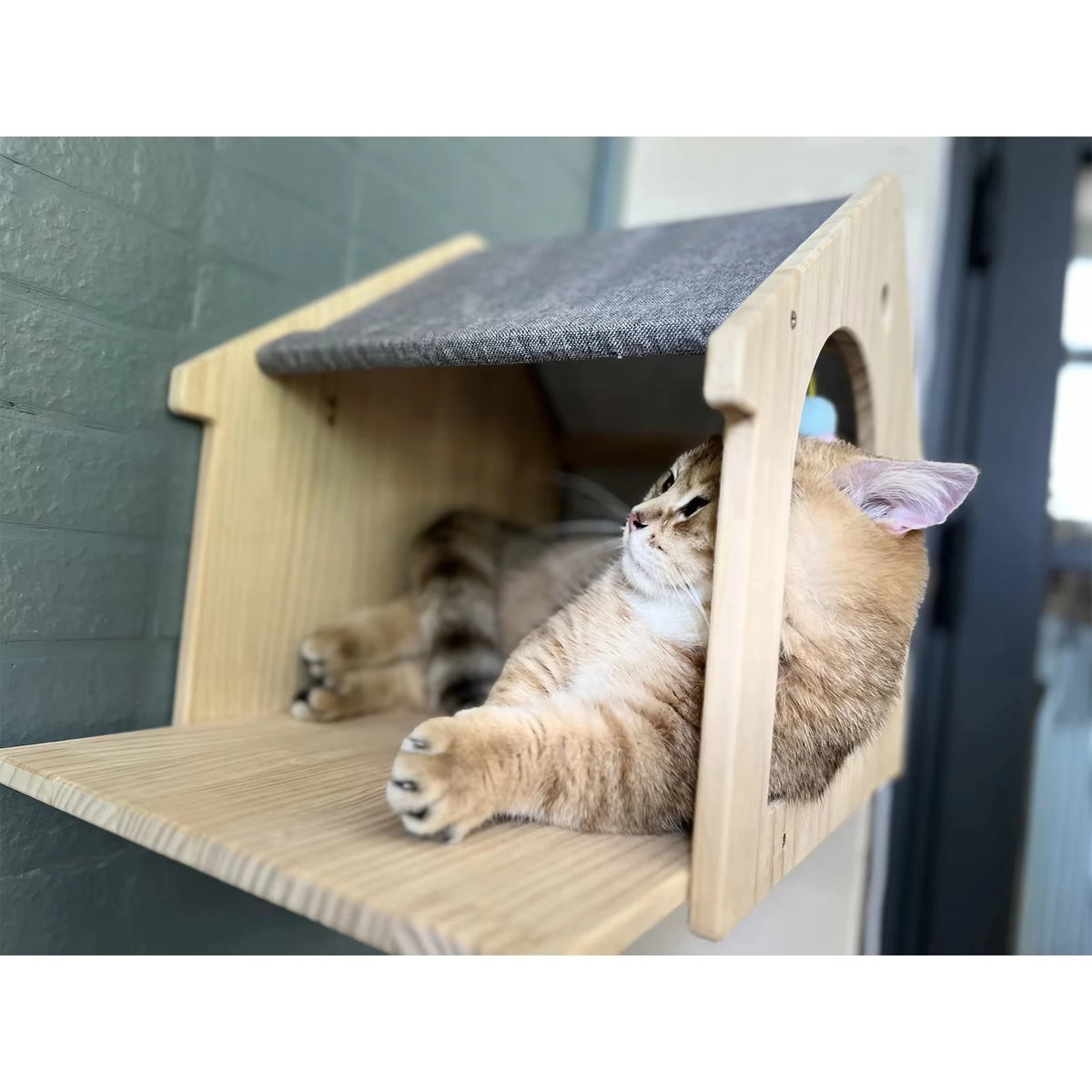 CWV Wooden Wall Mounted Cat Villa With Sleeping Platform