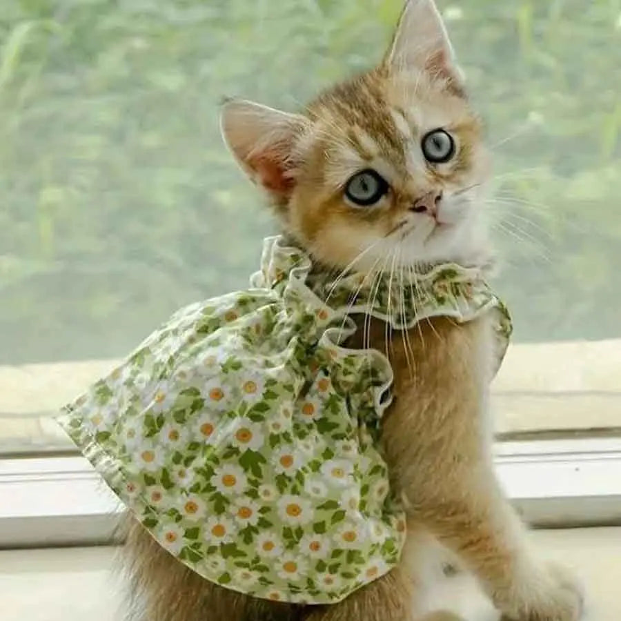 Summer Sleeveless Flower Design Cat And Dog Princess Dress