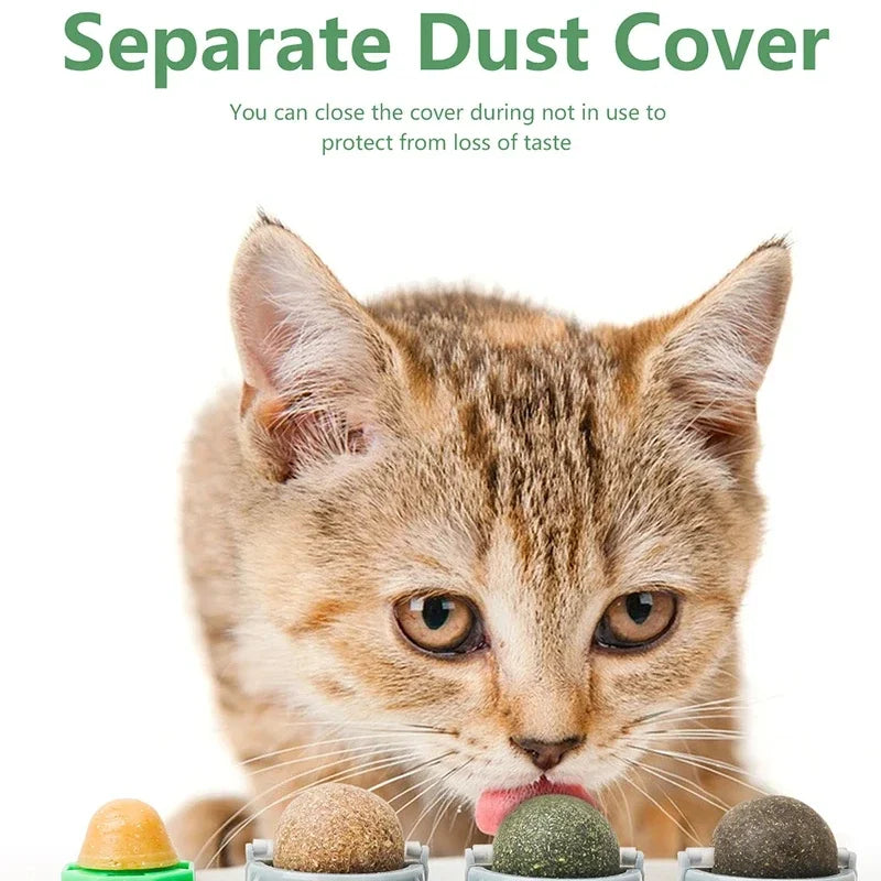 Interactive Rotating Catnip Ball Wall Mount Chew Toy For Pets