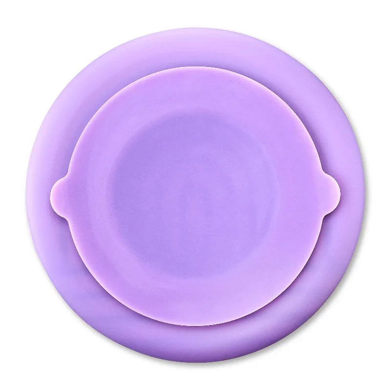 Non Slip Silicone Slow Feeder Bowl For Dogs And Cats