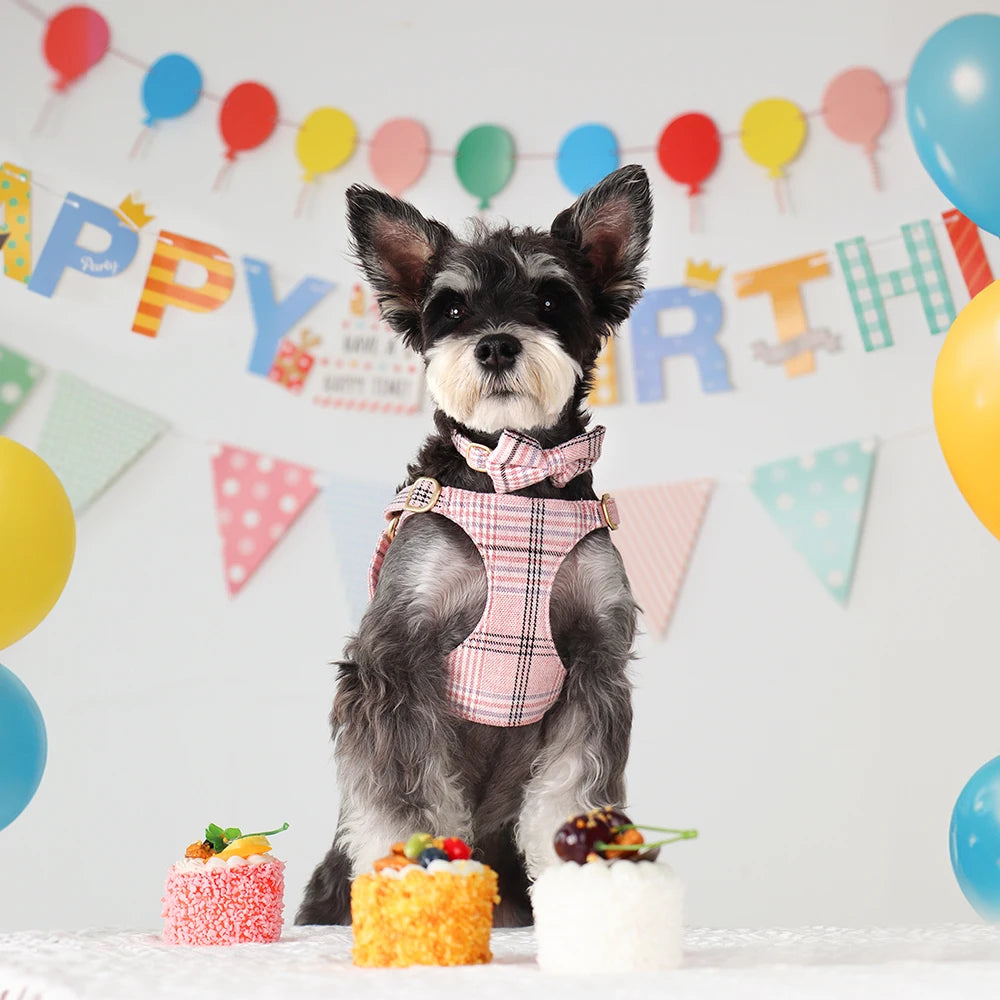 Didog Adjustable Plaid Bowtie Dog Collar Harness Leash