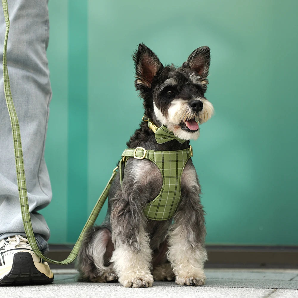 Didog Adjustable Plaid Bowtie Dog Collar Harness Leash