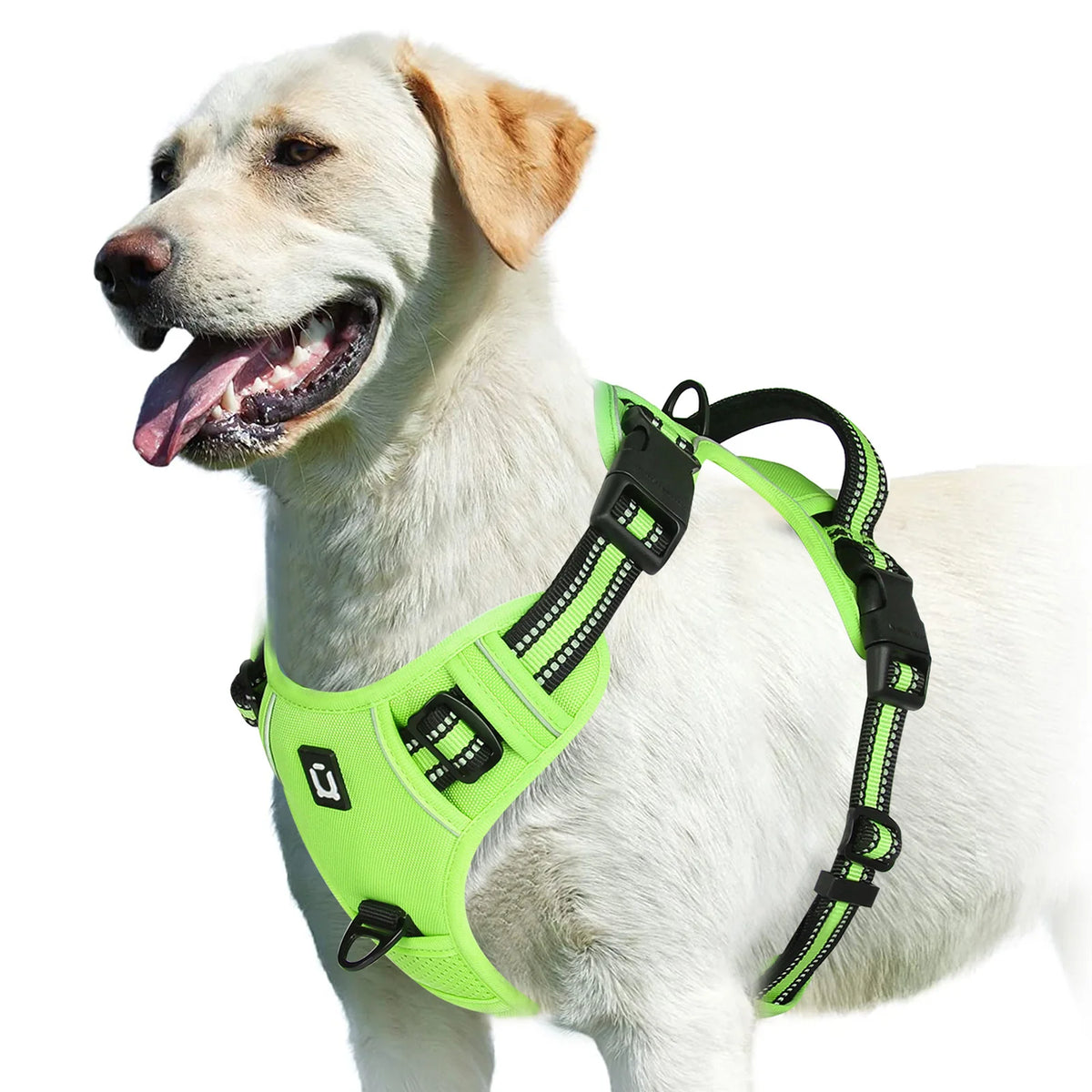 Adjustable Soft Padded No Pull Dog Harness with Control Handle