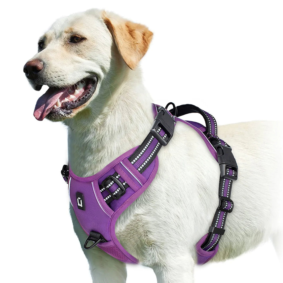 Adjustable Soft Padded No Pull Dog Harness with Control Handle