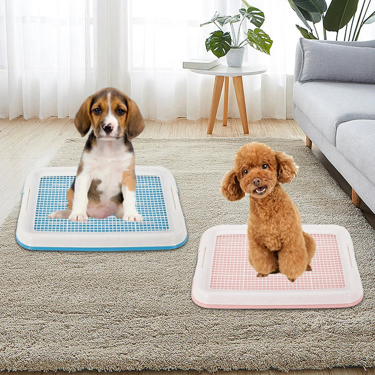 Serenable Dog Potty Training Pan With Secure Latch And Lid