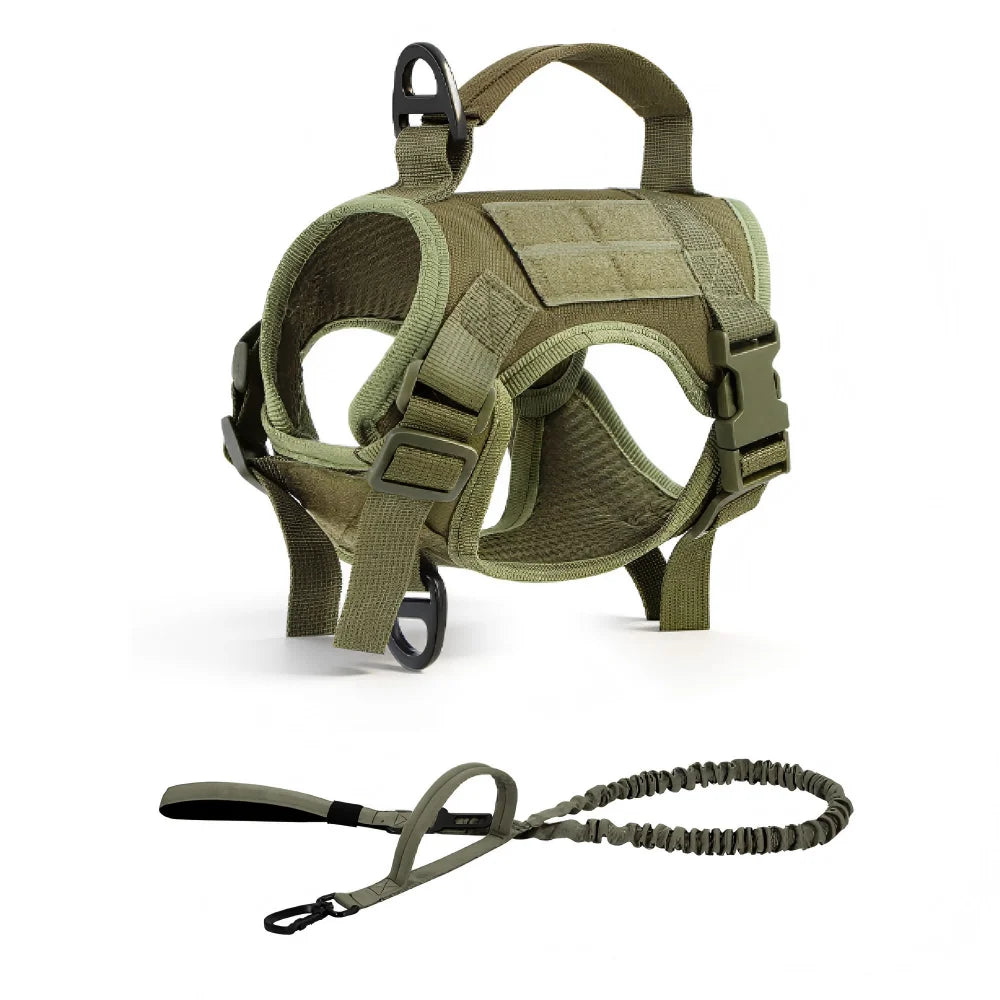 PetraVel Adjustable Escape Proof Cat Harness With Leash Set