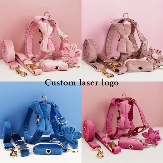 Custom Name Pet Bowtie Dog Harness Leash Set With Bag