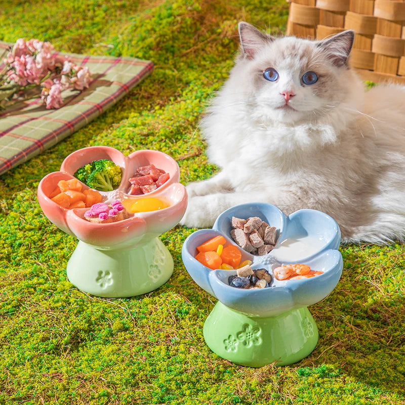 Premium Elevated Partitioned Pet Bowl With Secure Non Slip Base