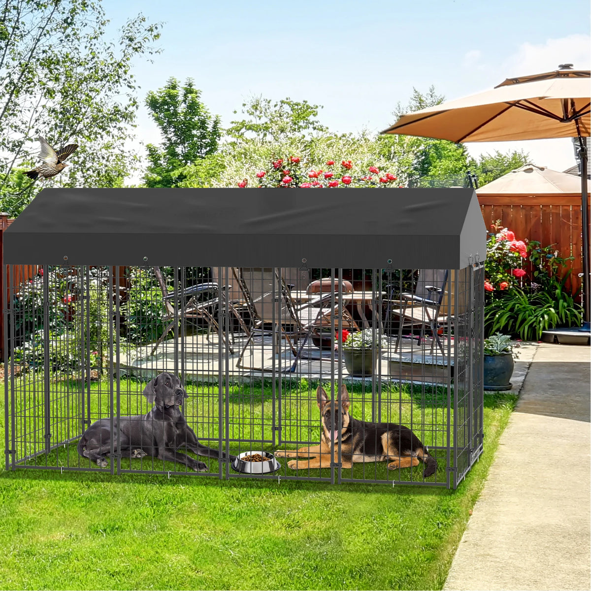 Bingopaw Galvanized Outdoor Dog Kennel Run With Weatherproof Canopy