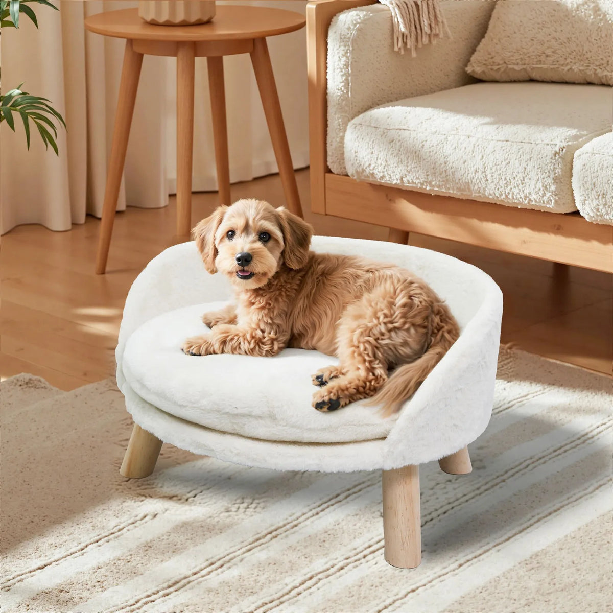 Borwart Soft Elevated Pet Sofa With Removable Padded Cushion