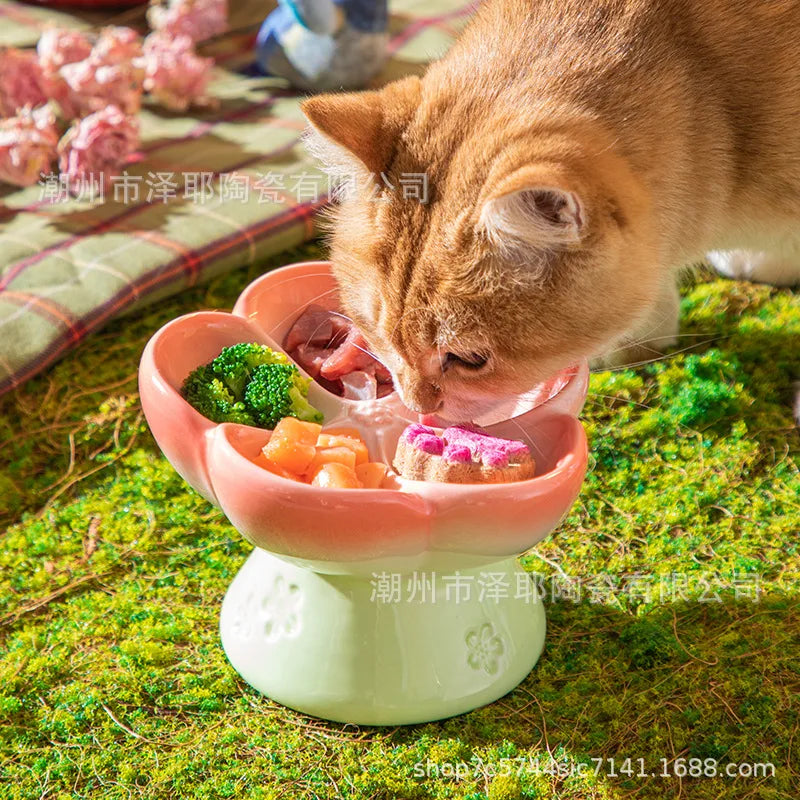 Premium Elevated Partitioned Pet Bowl With Secure Non Slip Base