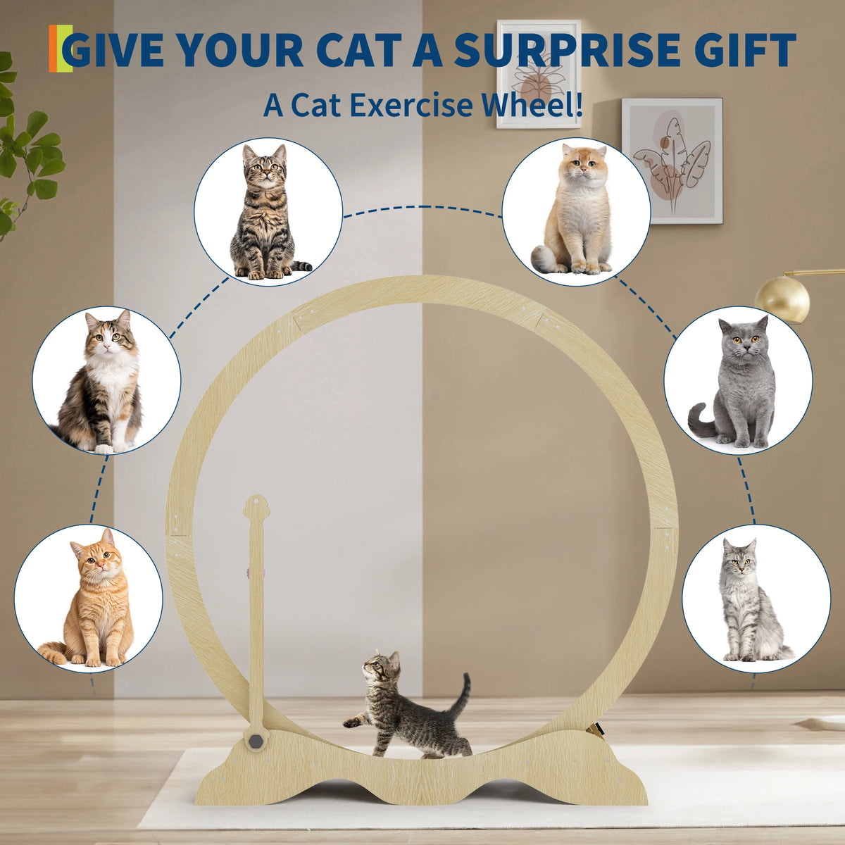 Quiet Wood Cat Exercise Wheel Sturdy Detachable Carpet Floor