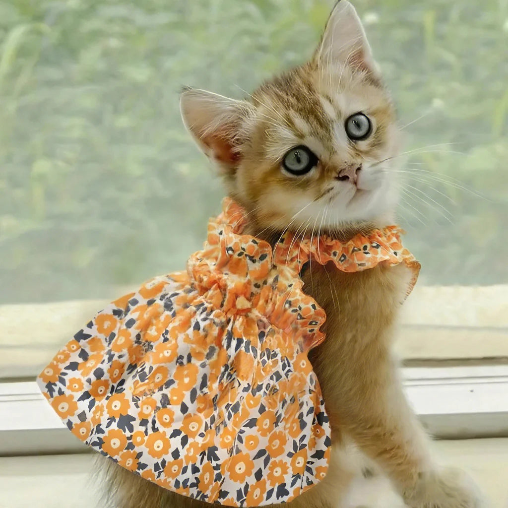 Summer Sleeveless Flower Design Cat And Dog Princess Dress
