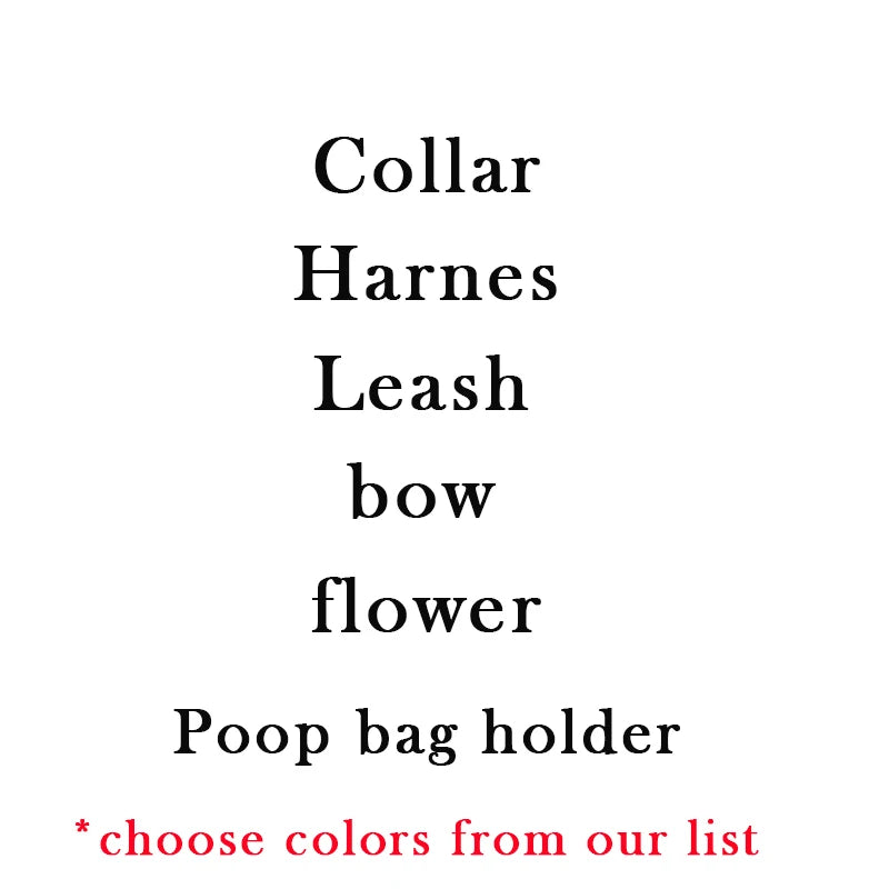 Custom Name Pet Bowtie Dog Harness Leash Set With Bag