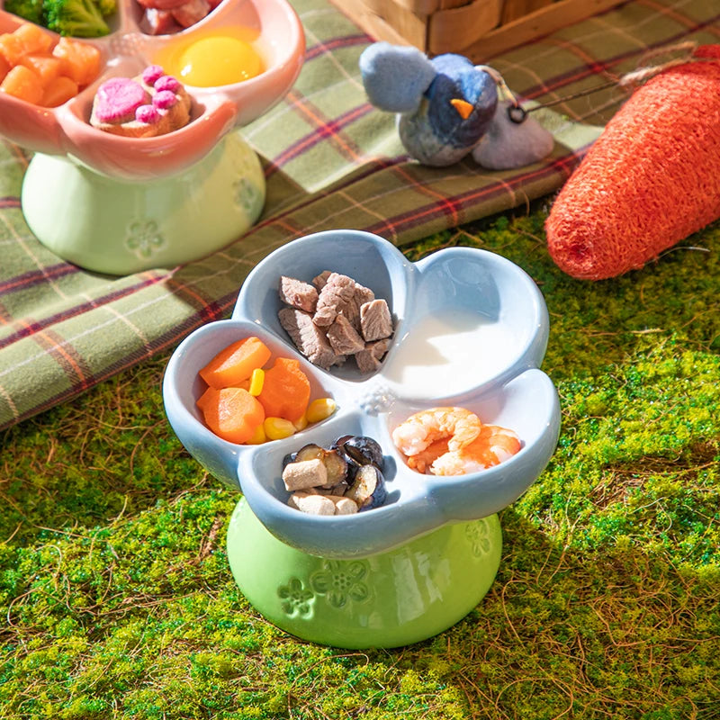 Premium Elevated Partitioned Pet Bowl With Secure Non Slip Base