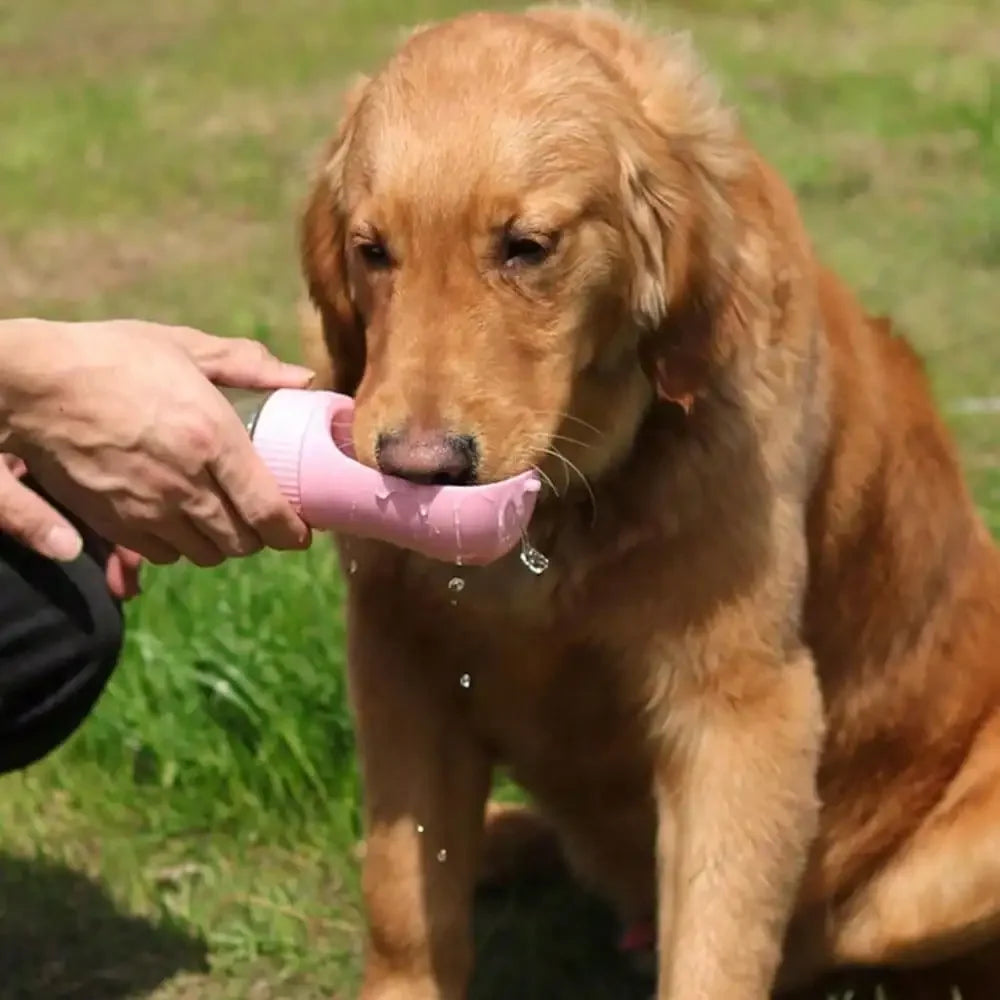 Portable 2 In 1 Dog Water Bottle With Food Container