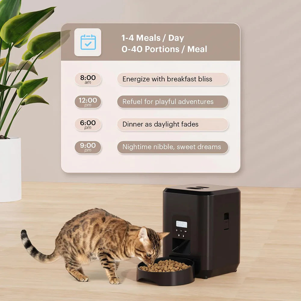 ZYfeeder Automatic Timed Pet Feeder With LCD Display For Cats