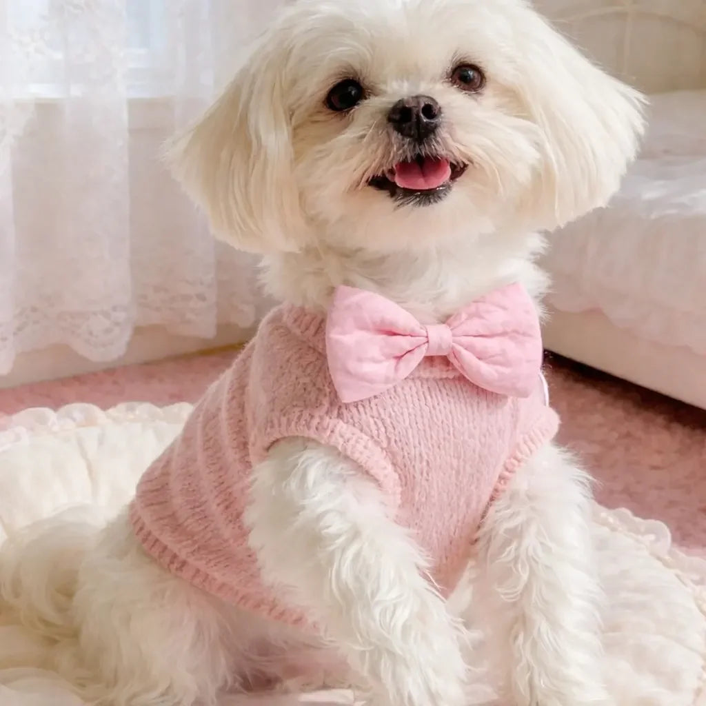 Quilted Leather Pet Bow Tie Set For Dogs And Cats