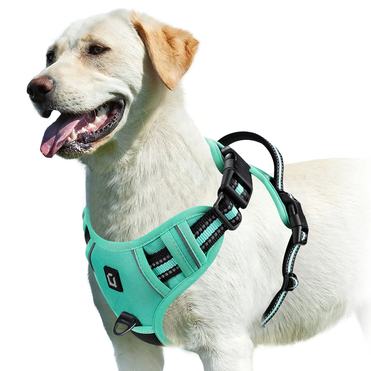 Adjustable Soft Padded No Pull Dog Harness with Control Handle